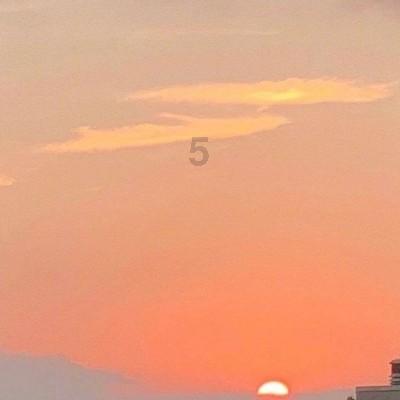 道奇蝰蛇找不同
